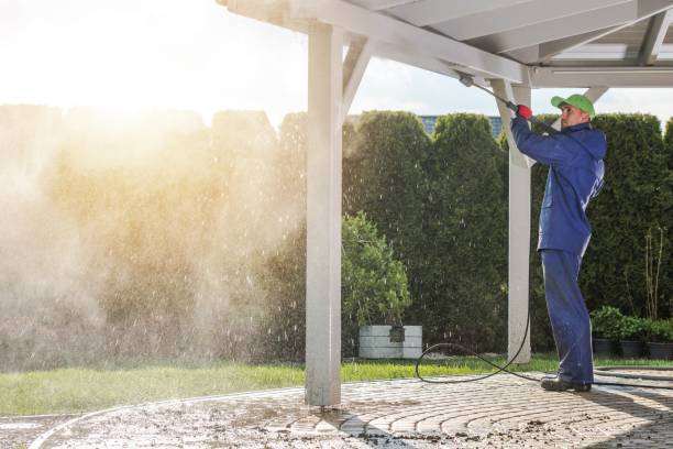Best Roof Cleaning and Mildew Removal in Carter, TX